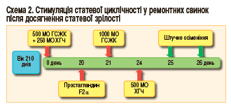 стимуляція статевої циклічності у ремонтних свинок після досягнення статевої зрілості