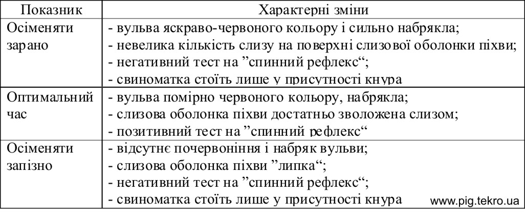 Harakternі zmіni vulvi pіd chas stadії zbudzhennja