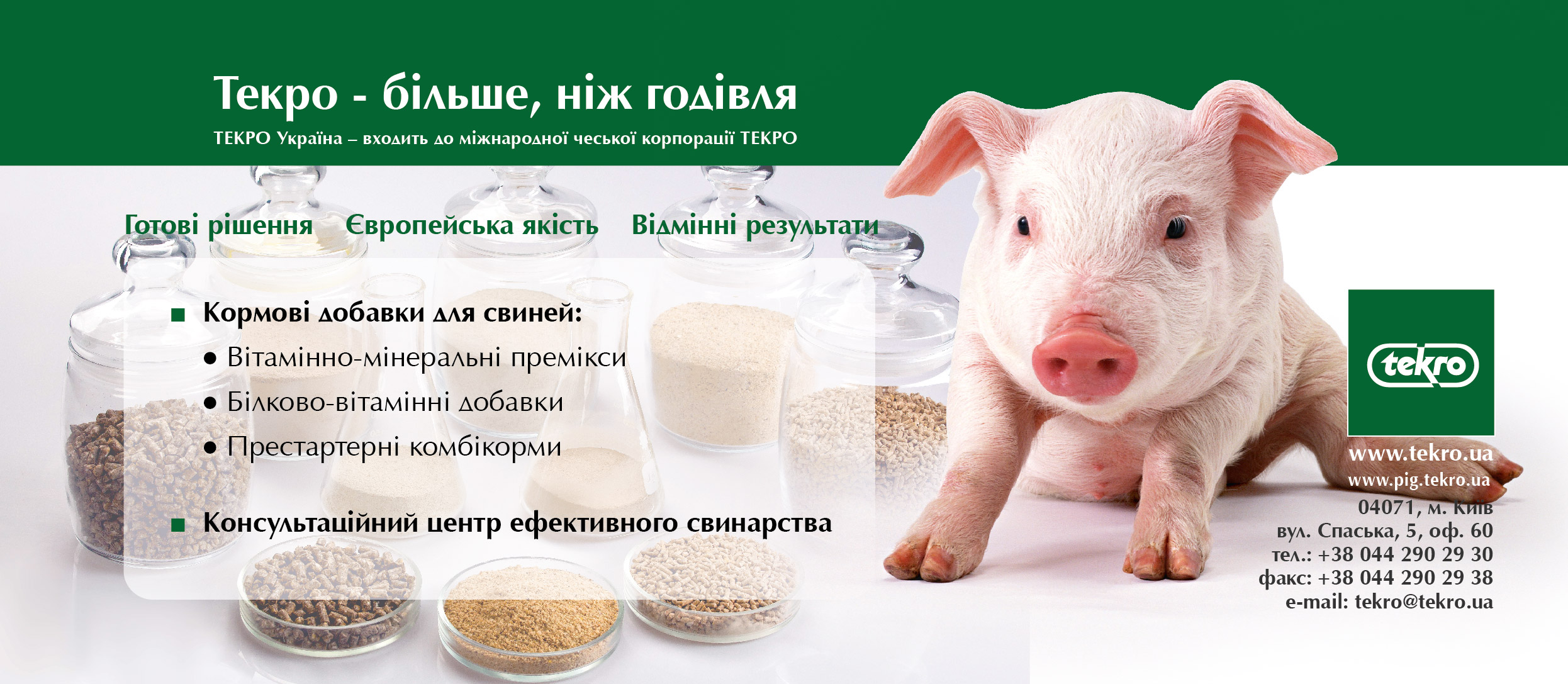 Свиня 201х82 01