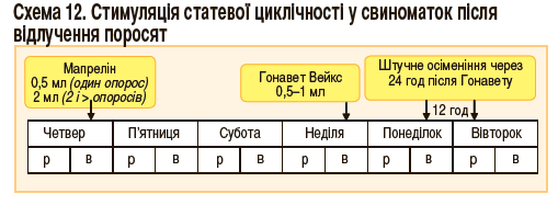 стимуляція статевої циклічності у свиноматок після відлучення поросят