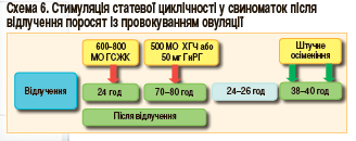 Стимуляція статевої циклічності у свиноматок після відлучення поросят з провокуванням овуляції