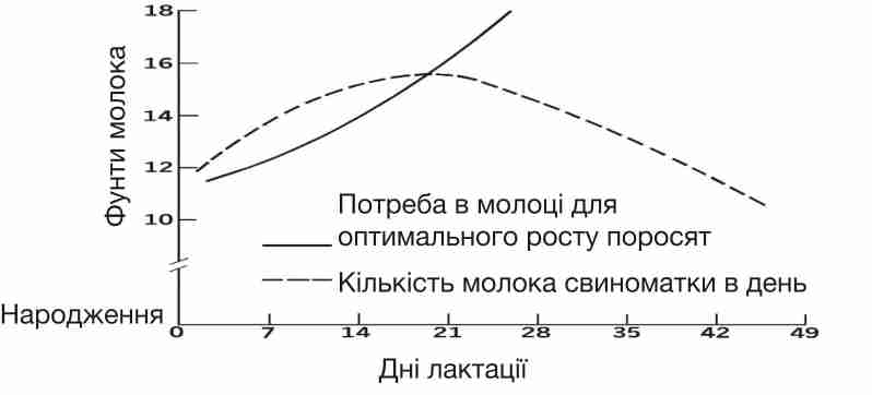 Laktacіjna kriva svinomatki ta potrebi porosjat u molocі 2