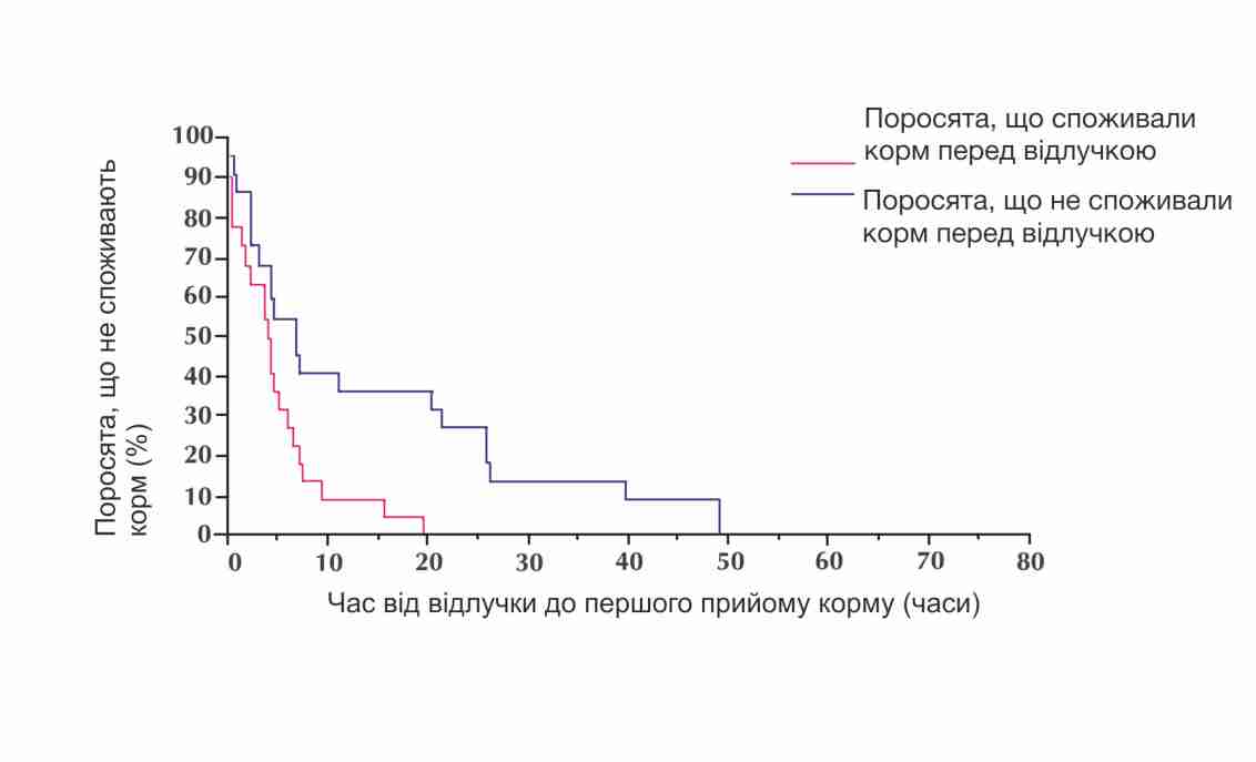Vzaєmozvjazok spozhivannja porosjatami suhogo kormu 2