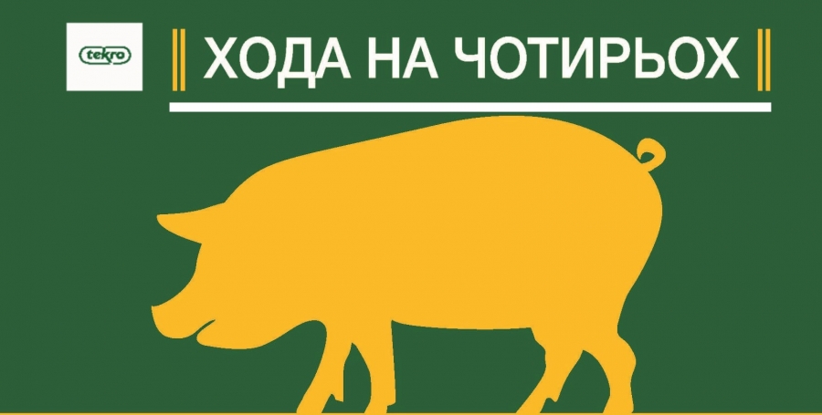 Чи всі ваші свиноматки ходять на чотирьох кінцівках?