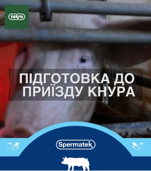 ПІДГОТОВКА ДО ПРИЇЗДУ КНУРА