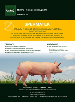 КОРЕКЦІЯ СПЕРМІОГЕНЕЗУ 