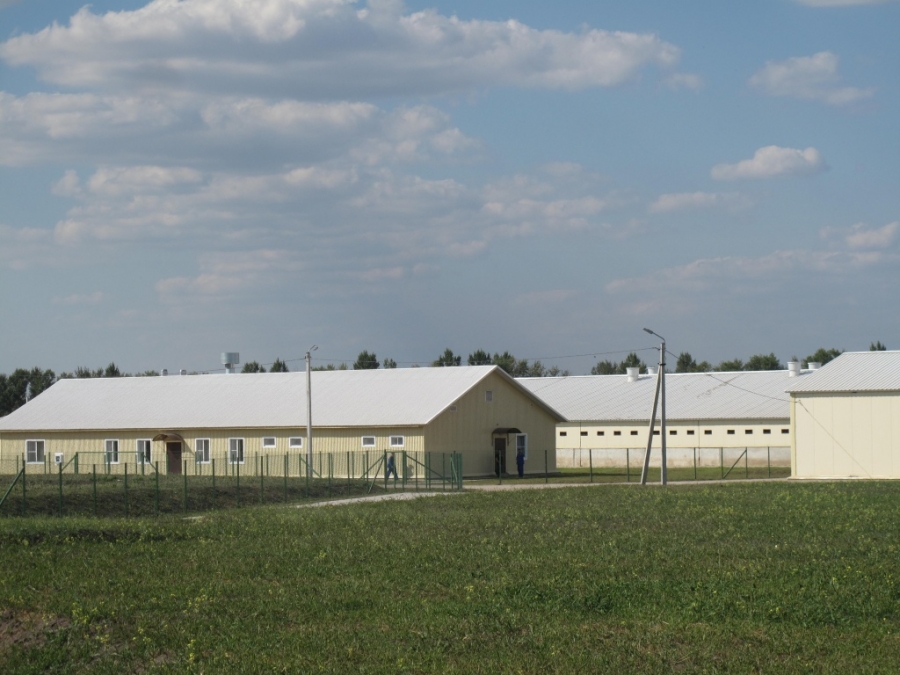 Свинокомплекс