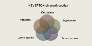 невертокс