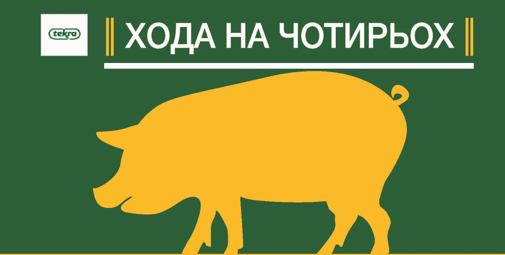 Чи всі ваші свиноматки ходять на чотирьох кінцівках?